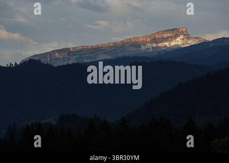 Morgenstimmung. Der Tag débutant. Der Blick von Rubi geht Richtung Kleinwalsertal. Der Hohe Ifen im Kleinwalsertal an der Grenze zwischen Deutschland und Oesterreich Österreich im ersten Sonnenlicht des Tages. Sommer im Allgaeu Allgäu am 11.07.2025 in Oberstdorf/Deutschland. *** Humeur du matin la journée commence la vue de Rubi vers Kleinwalsertal le Hohe Ifen à Kleinwalsertal à la frontière entre l'Allemagne et l'Autriche Autriche dans la première lumière du soleil de la journée été à Allgaeu Allgäu le 11 07 2025 à Oberstdorf Allemagne Banque D'Images