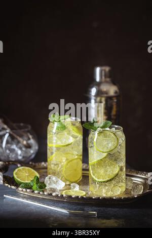 Boisson d'été thé vert glacé avec tranches de citron et menthe sur fond sombre Banque D'Images