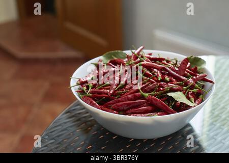 Piments rouges marinés dans un plat en céramique Banque D'Images