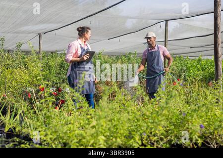 Divers collègues portant des tabliers dans la maison d'ombre tenant des comprimés et arrosant des plantes en pot avec un tuyau Banque D'Images