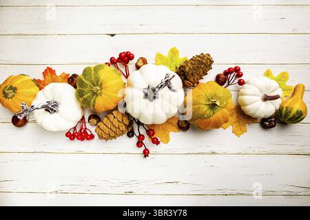 Bordure latérale d'automne de citrouilles blanches et de feuilles d'automne sur un arrière-plan rustique en bois blanc, vue du dessus Banque D'Images