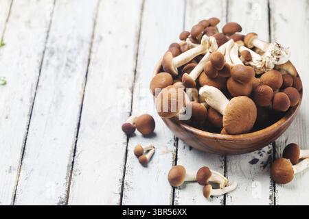 Champignons au miel agarique dans un bol en bois sur fond de bois blanc Banque D'Images