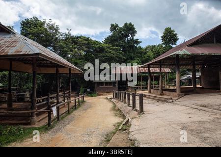 23 juillet 2020, Bangkok, Thaïlande : Maesa Elephant Camp, entièrement dépourvu de touristes, près de Chiang mai, Thaïlande. L’industrie du tourisme des éléphants a beaucoup souffert des retombées économiques résultant de la pandémie de COVID-19. Sans retour à â€œnormal TourismÂ€™ en vue, des centaines d’éléphants et de mahouts ont quitté les camps et sanctuaires où ils travaillent pour rentrer chez eux. Seule une petite poignée ont la chance d'être maintenus par leurs employeurs. (Crédit image : © Andre Malerba/ZUMA Wire) Banque D'Images