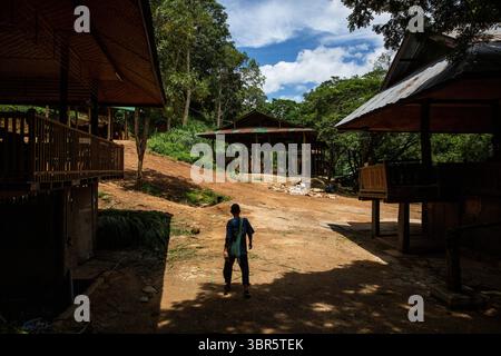 23 juillet 2020, Bangkok, Thaïlande : un mahouts marche dans le camp des éléphants Maesa près de Chiang mai, Thaïlande. L’industrie du tourisme des éléphants a beaucoup souffert des retombées économiques résultant de la pandémie de COVID-19. Sans retour à â€œnormal TourismÂ€™ en vue, des centaines d’éléphants et de mahouts ont quitté les camps et sanctuaires où ils travaillent pour rentrer chez eux. Seule une petite poignée ont la chance d'être maintenus par leurs employeurs. (Crédit image : © Andre Malerba/ZUMA Wire) Banque D'Images