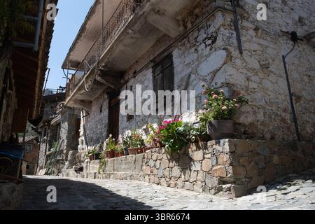 Fleurs en pot décorant la façade en pierre des maisons traditionnelles dans une rue pavée étroite du village d'Askas chypre Banque D'Images