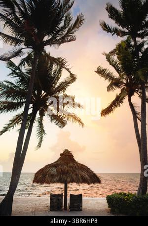 Tiki hutte entre les palmiers au coucher du soleil Golfe du Mexique Florida Key Banque D'Images