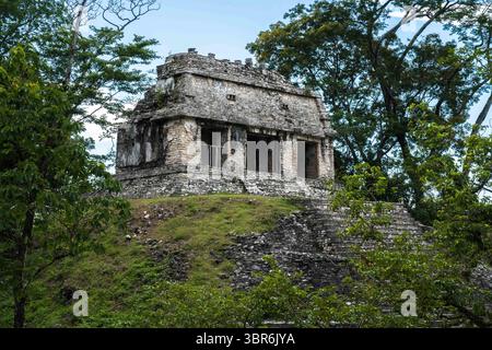 30 juillet 2018, Palenque, Chiapas, Mexique : le temple du comte dans les ruines de la ville maya de Palenque, parc national de Palenque, Chiapas, Mexique. Un site classé au patrimoine mondial de l'UNESCO. (Crédit image : © Jon G. Fuller Jr/VW pics via ZUMA Wire) Banque D'Images
