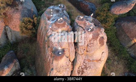 Vue aérienne de haut en bas de cigognes nichant sur des rochers de granit. Banque D'Images