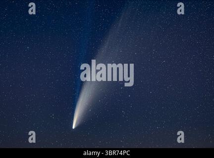 15 juillet 2020, Alberta, Canada : un gros plan de la comète NEOWISE (C/2020 F3) dans la nuit du 14 au 15 juillet 2020 avec un téléobjectif de 135 mm, et recadré quelque peu. Mais le champ est d'environ 10Â° de haut et la poussière blanche et les queues d'ions bleues s'étendent à travers le cadre et au-delà. Une partie de la structure de bande dans la queue de poussière est visible. ..visuellement dans les jumelles la queue ionique était à peine visible avec un peu d'imagination évitée mais la queue de poussière s'étendait facilement sur deux champs binoculaires, donc environ 12 Â°. ..il s'agit d'une pile de neuf expositions d'une minute avec l'objectif Canon 135 mm grand-ouvert à f/2 et Canon EOS R. Banque D'Images