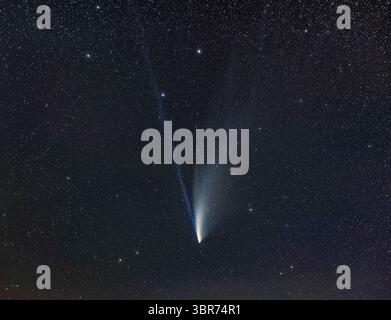 21 juillet 2020, Alberta, Canada : Comet NEOWISE (C/2020 F3) dans un gros plan suivi le 20 juillet 2020, montrant la queue ionique bleue droite et la queue de poussière jaune blanchâtre courbée. Même la queue ionique était visible dans les jumelles et traçable à 12Â° environ, soit deux champs binoculaires 10x. Ici, dans l'image traitée, il s'étend dans et au-delà du bol de la Big Dipper, sur une distance de 20Â°. La queue de poussière courbée s'étend sur environ 15Â°... Un peu de couleur cyan est visible autour de la tête de la comète. Les galaxies brillantes M81 et M82, très minuscules ici, sont en haut à droite. Les deux paires d'étoiles de chaque côté de Banque D'Images
