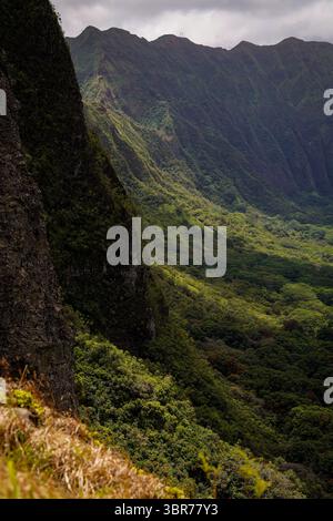 Épines sacrées de la gamme O?ahu Banque D'Images