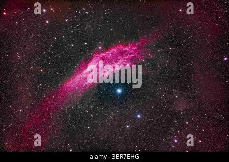 25 novembre 2019, Alberta, Canada : NGC 1499, la nébuleuse de Californie, dans Persée... cette nébuleuse d'émission visuellement faible (mais facile à capturer avec une caméra) brille au-dessus de l'étoile bleue chaude Zeta Persei, alias Menkib, et est entourée d'une autre nébulosité de seuil faible. ..il s'agit d'une pile d'expositions de 8 x 8 minutes à travers l'astrographe Borg 77mm f/4 et avec l'appareil photo Canon EOS Ra sans miroir sensible au rouge, à 800 ISO. Empilées, alignées et traitées dans Adobe Camera Raw et Photoshop 2020. Aucune nébuleuse ou filtre de réduction de la pollution lumineuse n'a été utilisé pour prendre les images. J'ai tourné ça de chez moi en novembre Banque D'Images