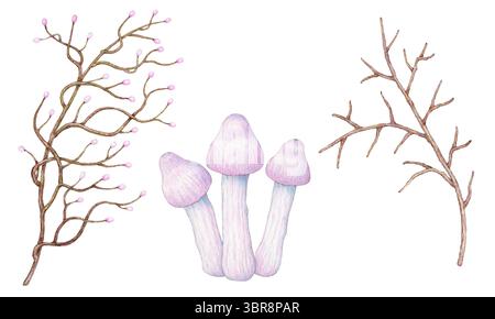 Ensemble de champignons sauvages et branches au crayon de couleur isolé sur fond blanc, style botanique vintage, clipart cottagecore. Banque D'Images