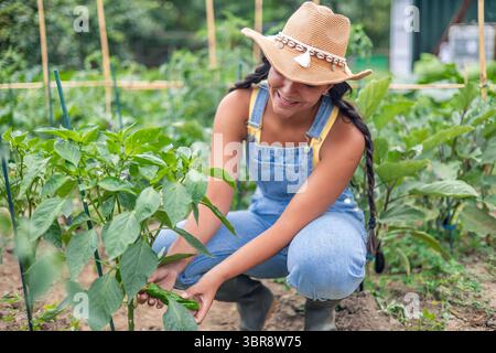 Jeune agricultrice latine portant une combinaison en denim et un chapeau de paille accroupie et récolte des poivrons verts dans son jardin, souriant et regardant le mûr Banque D'Images