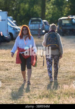 Deux femelles marchant vers et loin sur un champ herbeux illuminé par le soleil couchant d'été. Banque D'Images