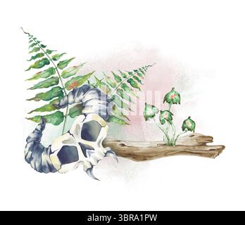 Composition forestière d'aquarelle avec un crâne corné inventé, un arbre tombé, des tabourets et des feuilles de fougère sur un fond d'une tache aquarelle floue Banque D'Images
