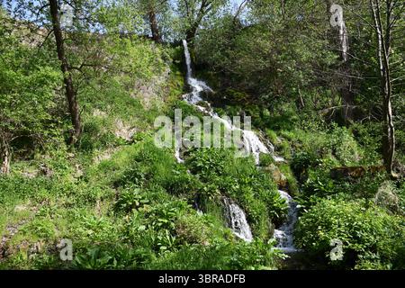 Une chute d'eau haute et étroite qui coule à travers une végétation verte dense dans un cadre forestier serein, capturé par une journée lumineuse dans la nature. Banque D'Images