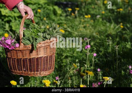 Panier plein de fleurs et d'herbes est tenu par une personne dans un champ Banque D'Images