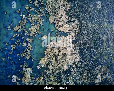 Vue aérienne du contraste frappant entre le fond marin sombre et texturé et les eaux turquoises au-dessus, Kalochori, Thessalonique, Grèce. Banque D'Images