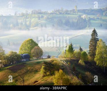 Matin serein de campagne avec brume roulant sur les douces collines. La lumière du soleil filtre à travers, soulignant la ferme confortable entourée d'arbres luxuriants. Maisons dispersées et chemins sinueux, vallées couvertes de brume. Banque D'Images