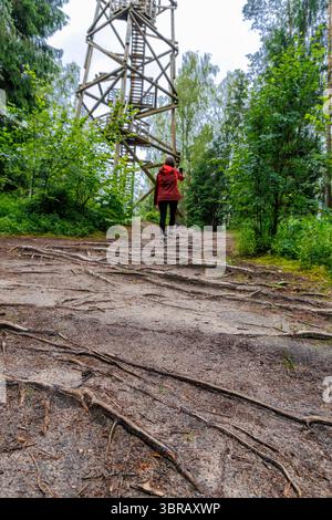 Une personne avec une veste rouge marche vers un sentier forestier, fortement exposé avec des racines d'arbres, vers une grande tour d'observation en bois visible au loin. Banque D'Images