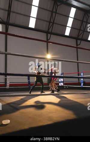 Deux boxeurs féminins portant des chapeaux et des gants de sparring à l'intérieur de l'anneau dans le gymnase sous les lumières et les cordes Banque D'Images