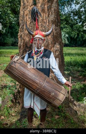Portant une coiffe en corne de bison et jouant du tambour du tronc d'arbre creusé, un membre de la tribu Maria Gond dans le Chhattisgarh, Inde, Asie Banque D'Images