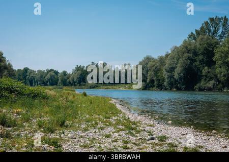 Vue sereine sur la rivière Drava près de Ptuj, avec de l'eau bleue calme qui coule entre des berges rocheuses et herbeuses. Des arbres verts denses bordent l'horizon sous un clair Banque D'Images