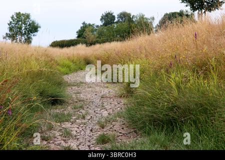 Lit de ruisseau séché Banque D'Images