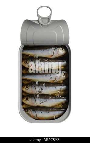 Boîte ouverte de sardines rendu 3D minimaliste dans un rendu doux et lisse Banque D'Images