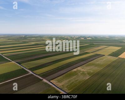 Vue aérienne des terres agricoles. Banque D'Images