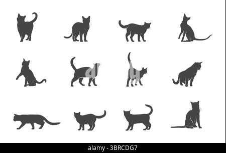 Chat siamois svg, silhouette de chat siamois, vecteur de chat siamois, clipart de chat siamois, silhouette de chat, vecteur Cat. Illustration de Vecteur