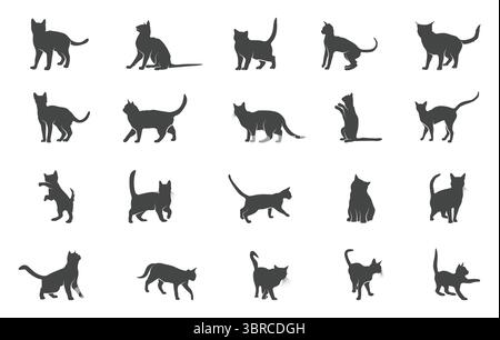 Cat svg, silhouette de chat, Cat Walking svg, silhouette de chat Walking, collection de chat noir, clipart de chat, dessin vectoriel de chat. Illustration de Vecteur