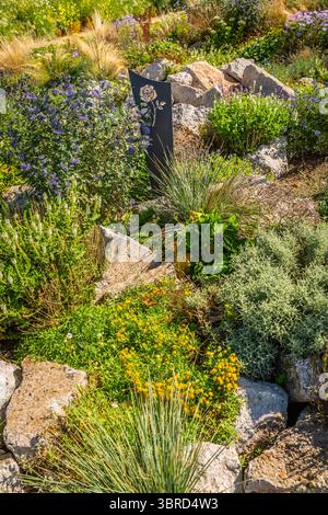 Arrière-cour avec aménagement paysager fantastique, patio, plantes résistantes à la sécheresse Banque D'Images