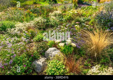 Arrière-cour avec aménagement paysager fantastique, patio, plantes résistantes à la sécheresse Banque D'Images