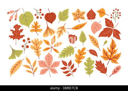 Ensemble de feuilles d'automne, feuilles tombées, dessinées à la main. Illustration de Vecteur