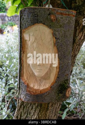 Visage en bois sculpté encastré dans une bûche d'arbre, suspendu à l'extérieur comme élément décoratif de jardin ou installation d'art forestier Banque D'Images