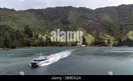 Vue aérienne du bateau postal Pelorus à Wilson Bay, tranchant dans l'eau sombre, laissant un sillage blanc mousseux sur fond de collines verdoyantes, Banque D'Images