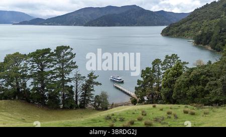 Vue aérienne d'un bateau amarré à un quai à Wilson Bay entouré de collines verdoyantes et d'eaux calmes reflétant le ciel couvert, Marlborough Sounds, New Z Banque D'Images