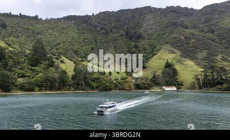 Vue aérienne du bateau postal Pelorus à Wilson Bay, tranchant dans l'eau sombre, laissant un sillage blanc mousseux sur fond de collines verdoyantes, Banque D'Images