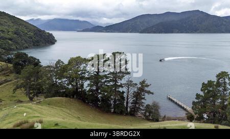 Vue aérienne d'un bateau arrivant à un quai de Wilson Bay entouré de collines verdoyantes et d'eaux calmes reflétant le ciel couvert, Marlborough Sounds, New Banque D'Images