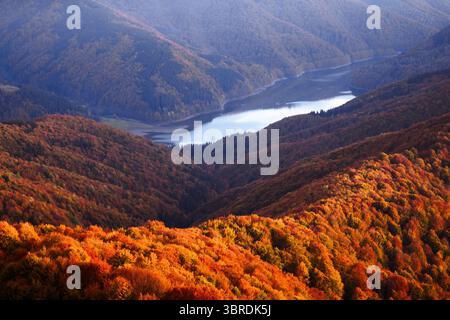 Lever de soleil au début de l'automne sur le lac des Carpates et les pentes boisées rouges incandescentes en Ukraine. Tons chauds et paysages de montagne paisibles pour les amoureux de la nature d'automne. Photographie de paysage Banque D'Images