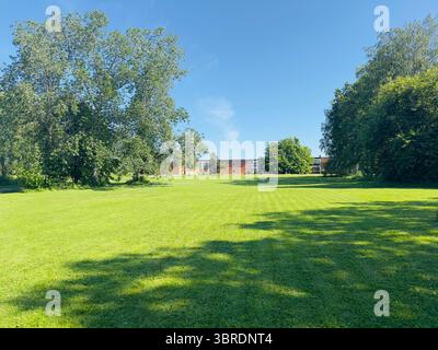 Une belle scène de parc avec de l'herbe verte luxuriante, des arbres et un ciel bleu clair. Banque D'Images