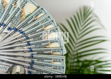 Fan de billets de cent dollars étalés au premier plan avec une plante tropicale verte en arrière-plan. Banque D'Images