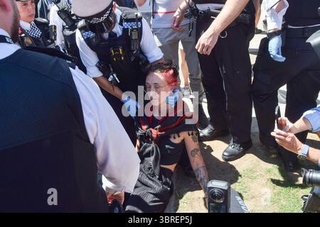 Londres, Royaume-Uni. 12 juillet 2025. Des policiers arrêtent des manifestants sur la place du Parlement qui tenaient des pancartes en soutien à Palestine action, interdite par les lois antiterroristes. Être membre ou soutenir le groupe militant est désormais illégal au Royaume-Uni. Crédit : Vuk Valcic/Alamy Live News Banque D'Images