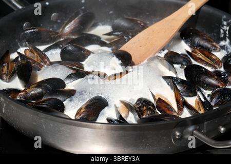 Les moules fraîches mijotent dans une sauce crémeuse, créant un délicieux arôme côtier. Banque D'Images
