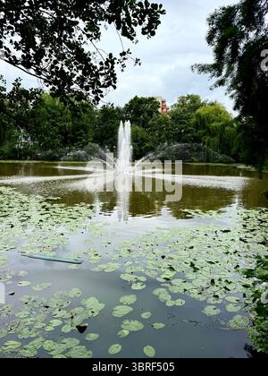 La fontaine sur le lac dans le parc. Haute qualité Banque D'Images