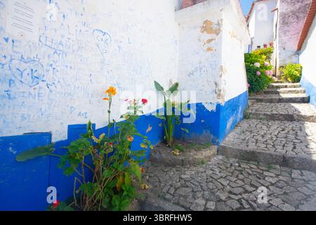 Óbidos, Portugal, les fleurs décorent l'extérieur des maisons Banque D'Images