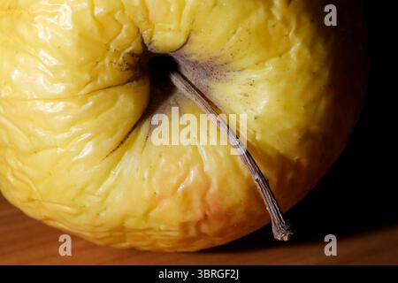 Une vue rapprochée révèle les textures et les couleurs uniques de la pomme jaune. Banque D'Images