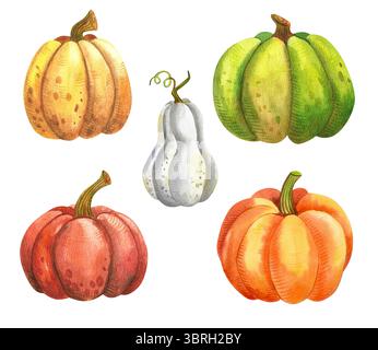 Ensemble de citrouilles aquarelles colorées. Clip aquarelle d'automne Illustration dessinée à la main isolée sur fond blanc. Banque D'Images